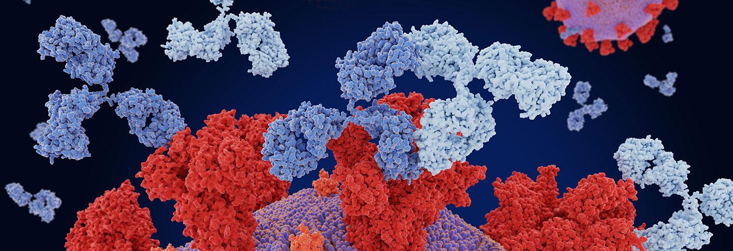 An Experienced CDMO Can Be a Differentiator in the Rapidly Growing Biologics Market