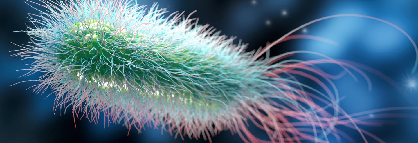On the Journey to a New Industry Standard for E. coli-based Protein Production