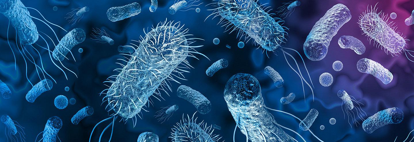 Optimizing Plasmid Production to Meet Growing Demand