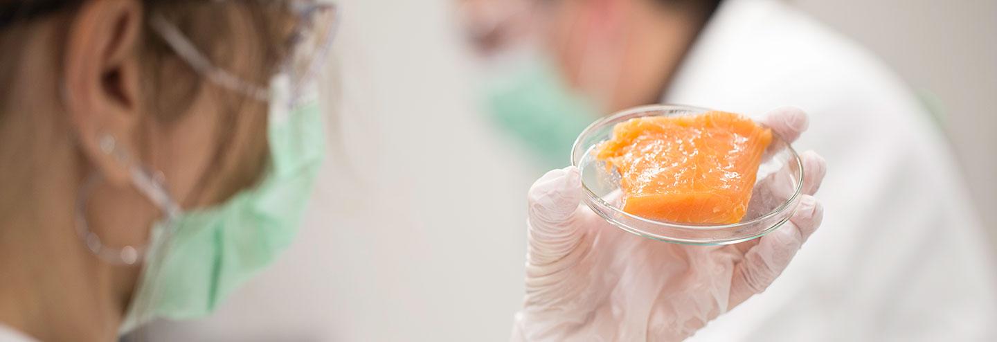 Leveraging Biopharma Sensor Technologies for Cultivated Meat Processes