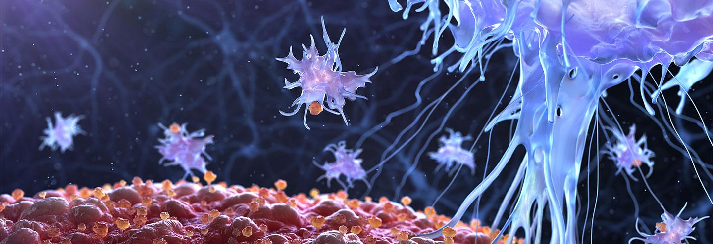 Engineering Immune Cells to Realize the Promise of Cancer Cell Therapies