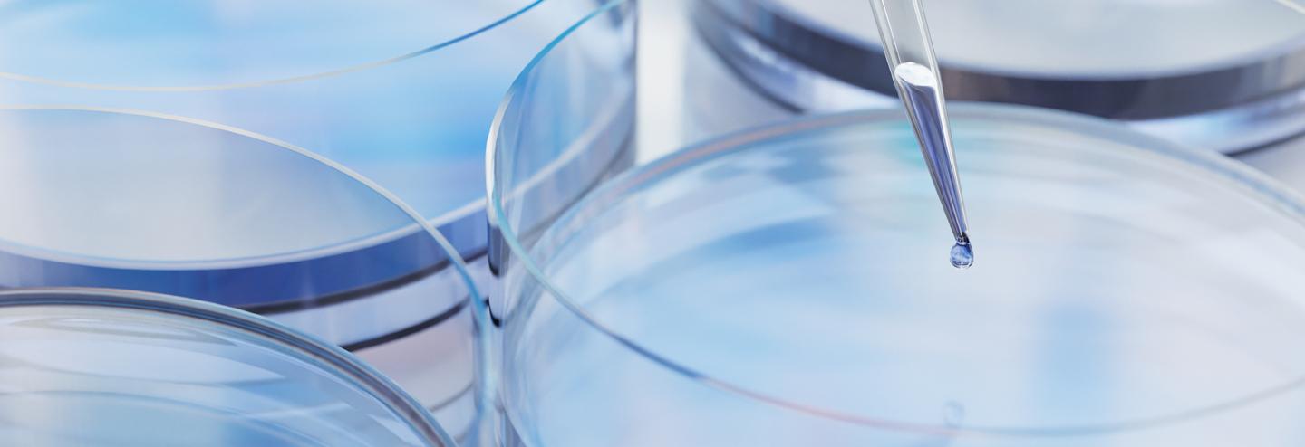 Addressing the Evolving Nitrosamine Contamination Issue