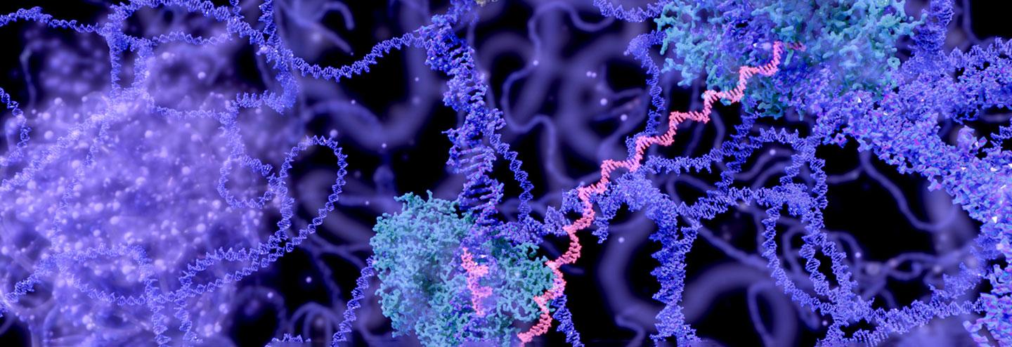 Ultra-Cold Chain and Supply Chain Management Strategies for mRNA