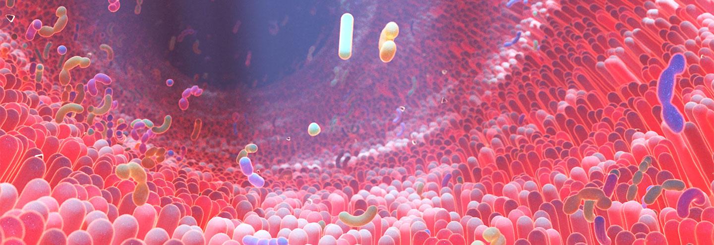 Modifying the Gut Microbiome to Improve CAR-T, HSCT, and Other Therapeutic Responses