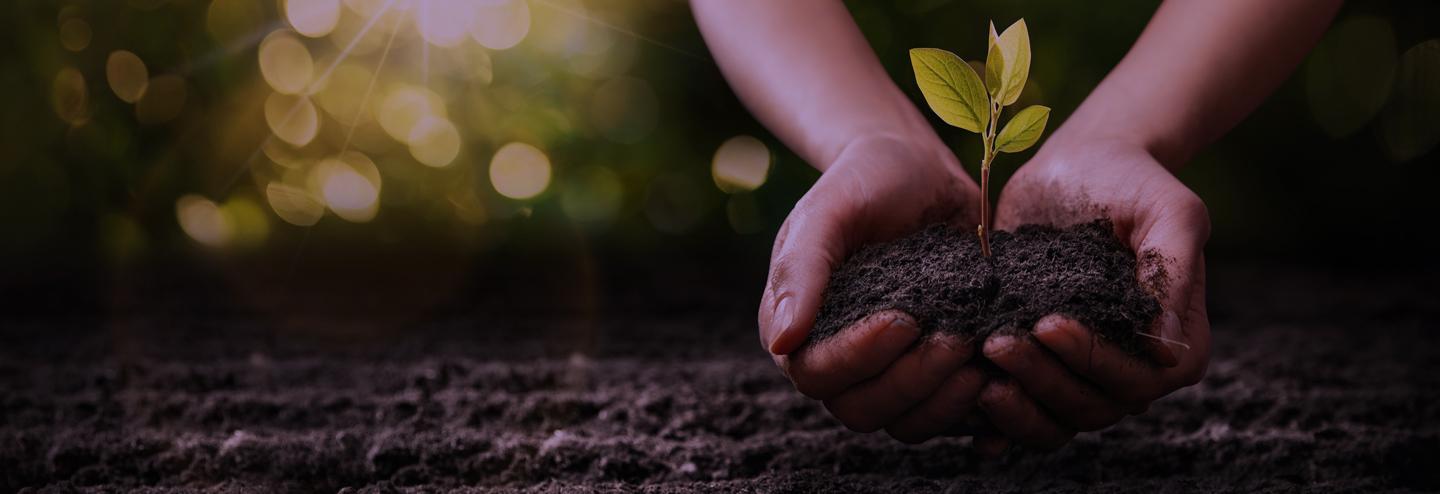 Fostering a Sustainable Future in Clinical Trials through Decentralized Trial Models