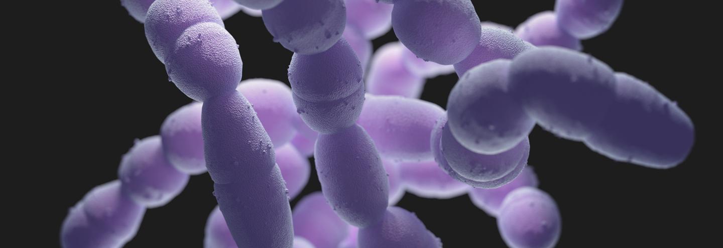 Why Fina Biosolutions Partnered With Scorpius BioManufacturing for cGMP Production of EcoCRM® (CRM197)