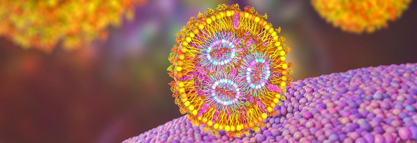 Facilitating Development and Scale-Up of Nanoparticle Drug Products with an End-to-End Adaptable Manufacturing Platform