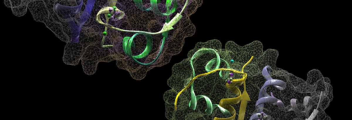 Innovations in Baculovirus–Insect Cell Expression Systems