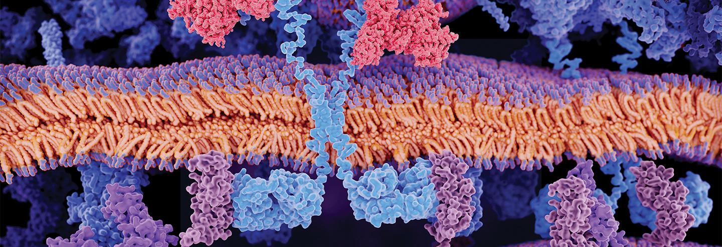 View from the Top: Cell and Gene Therapy Successes and Promise