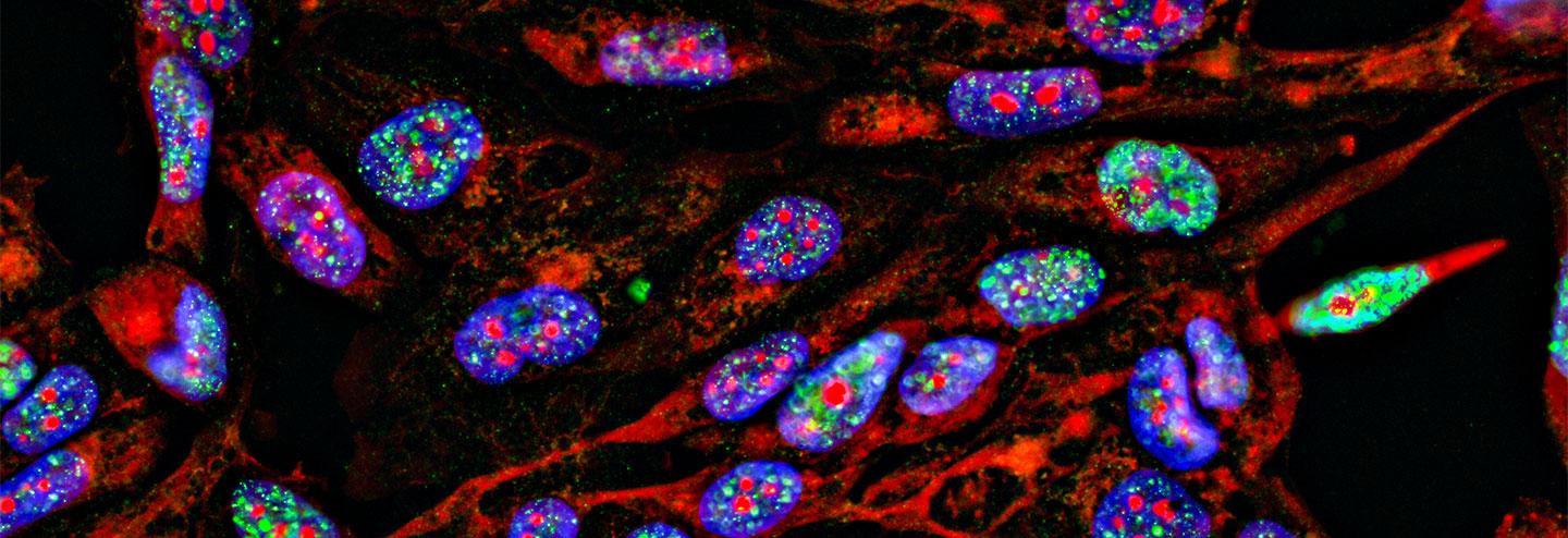 Integrated Spatial Genomics: Real Potential to Provide Truly Novel Biological Insights