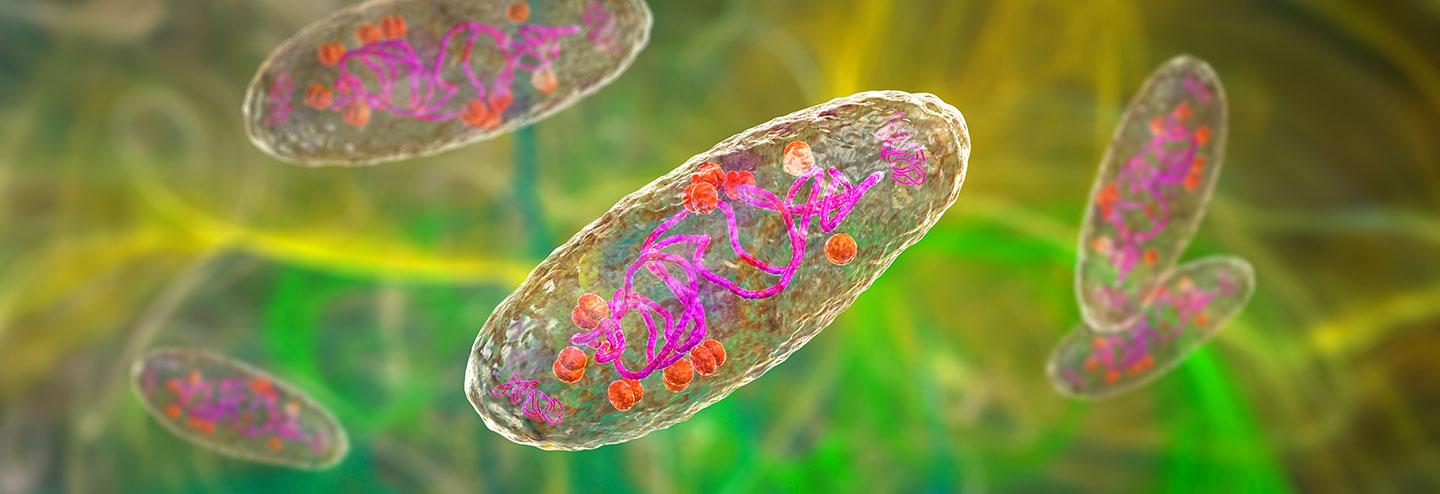 Is Synthetic Plasmid DNA One of the Solutions for Meeting Growing Demand for Next-Gen Therapies?