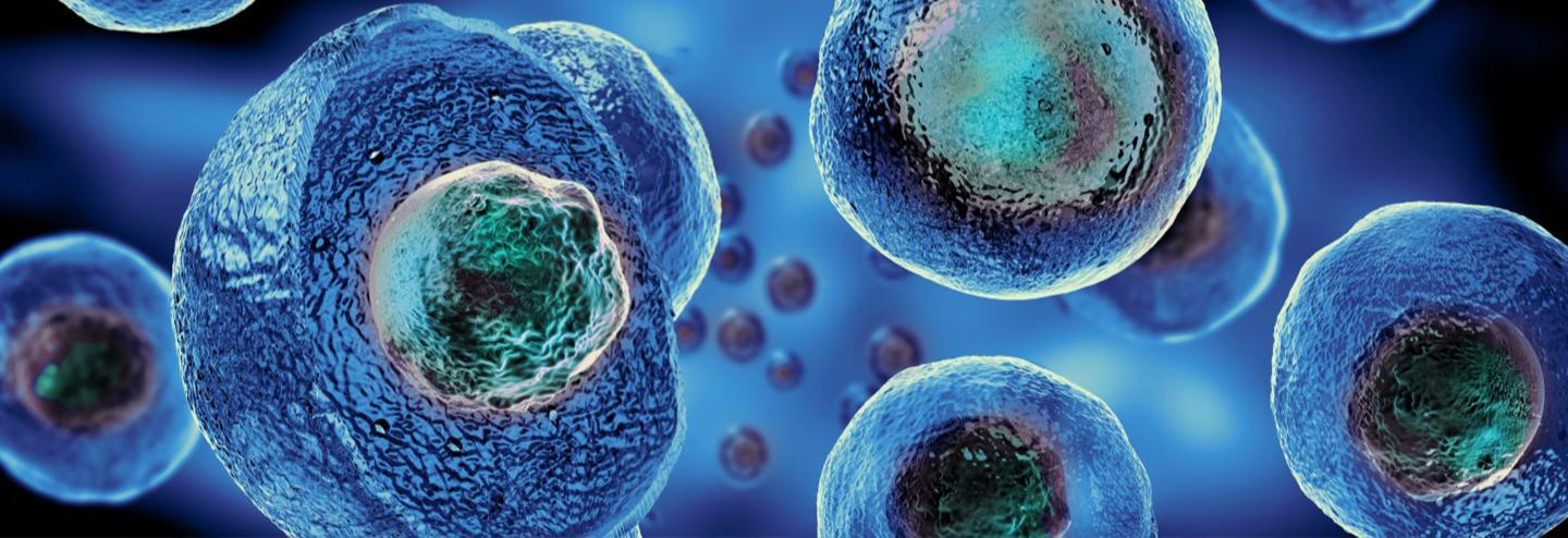 Allogeneic T Cell Therapies: Efficient Commercial Manufacturing Readiness using “Manufacturing by Design” Methodology