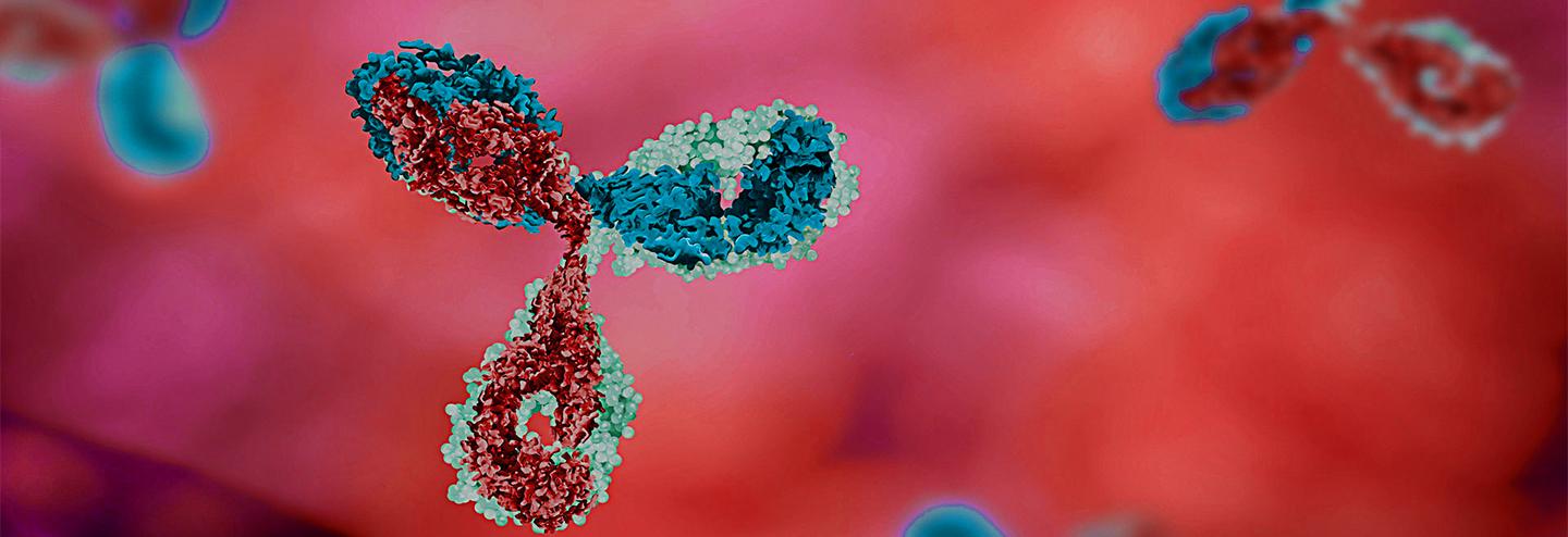 Successful Biosimilar Development Requires an Outsourcing Partner with the Right Experience