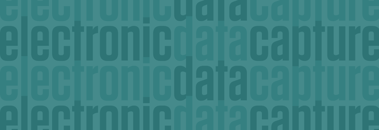 Data Management and Information Technology — Do the Benefits Outweigh the Risks?