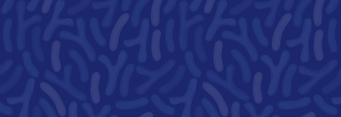 Framing the Narrative on CMC Development for Microbiome Therapeutics