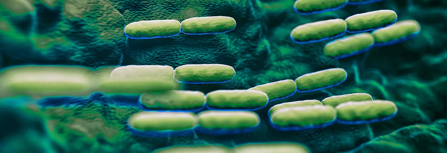 Design Considerations for Live Biotherapeutic Product Facilities Working with Spore-Forming Bacteria