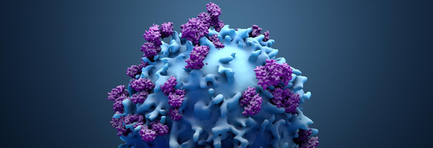 Focusing on the Tumor Microenvironment Leads to Novel Drug Targets