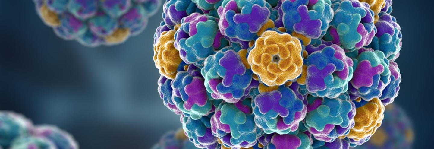 Building a Bridge of Equivalence to Facilitate and Implement Rapid Process Changes in Gene Therapy Manufacturing