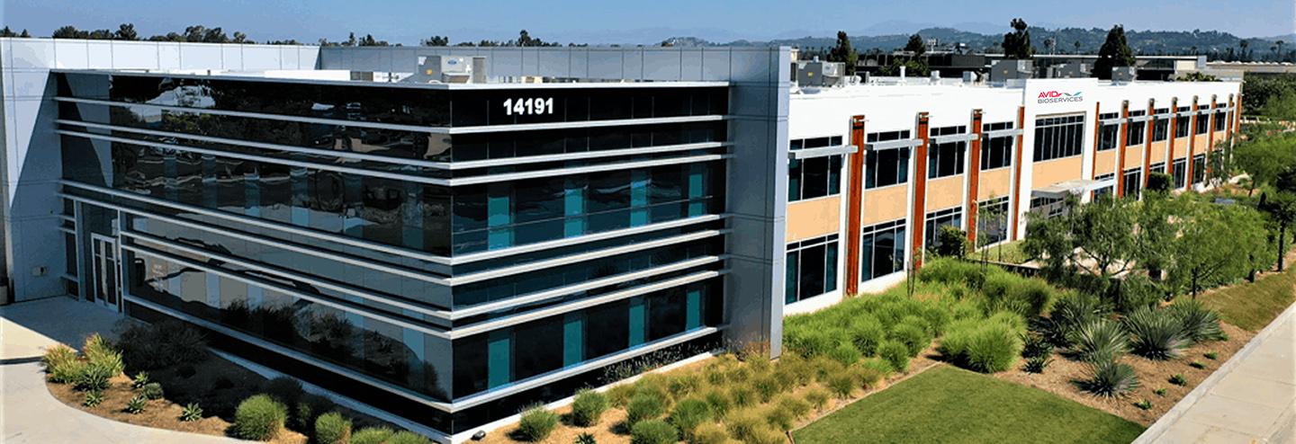 Expanding and Serving the Market with Flexible Single-Use Capacity