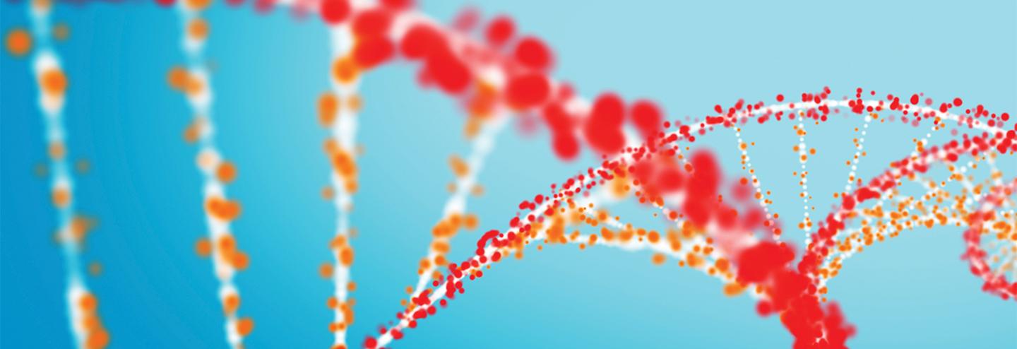 The Pivotal Role of Plasmid DNA