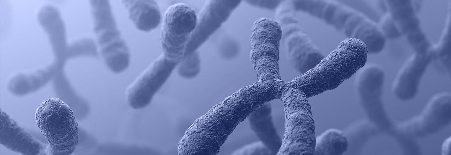 Leveraging Partnerships and a Unique History to Address Supply Chain and Capacity Challenges in Gene Therapy Manufacturing