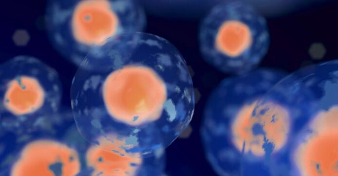 Does Your Biologics CDMO Truly Have a Culture of Quality?