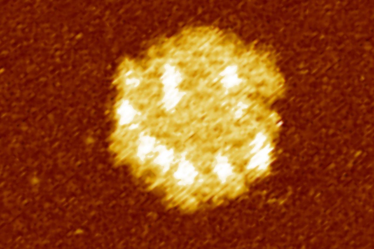 Building DNA and RNA Origami for Drug Delivery