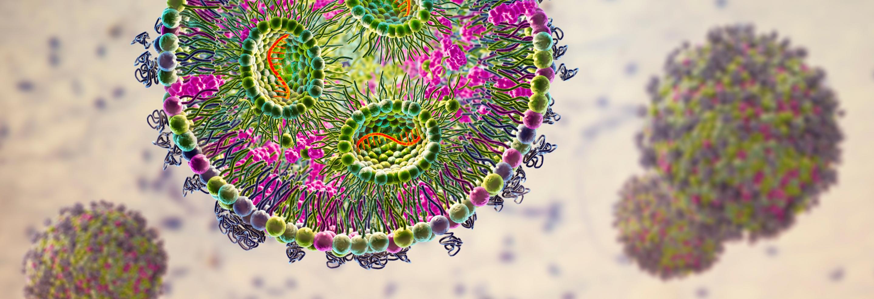 Feasibility Studies and cGMP Design Supporting Continuous Lipid Nanoparticle Manufacturing