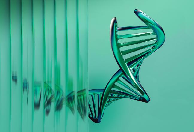 Leveraging Innovative Transposase Technology for a Highly Reliable and Productive CMC Platform