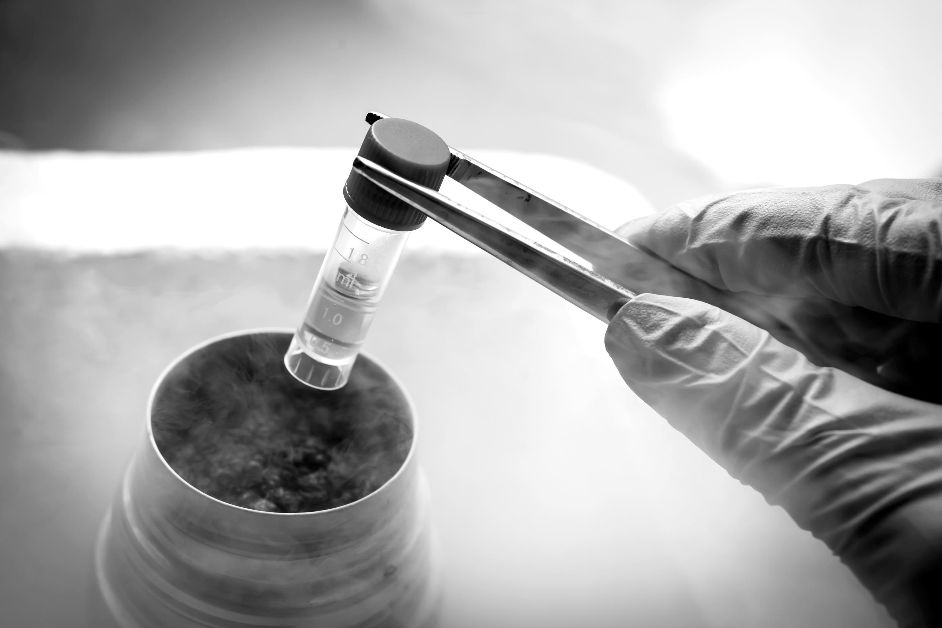 Managing Complex Sample and IP Logistics in Support of Cell and Gene Therapies