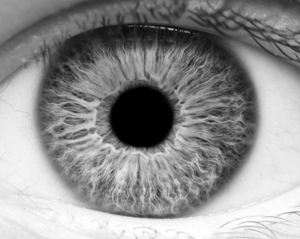 The Shift from Early- to Late-Phase Ophthalmology Retina Market in 2024: Proactive Planning for Late-Stage Clinical Success
