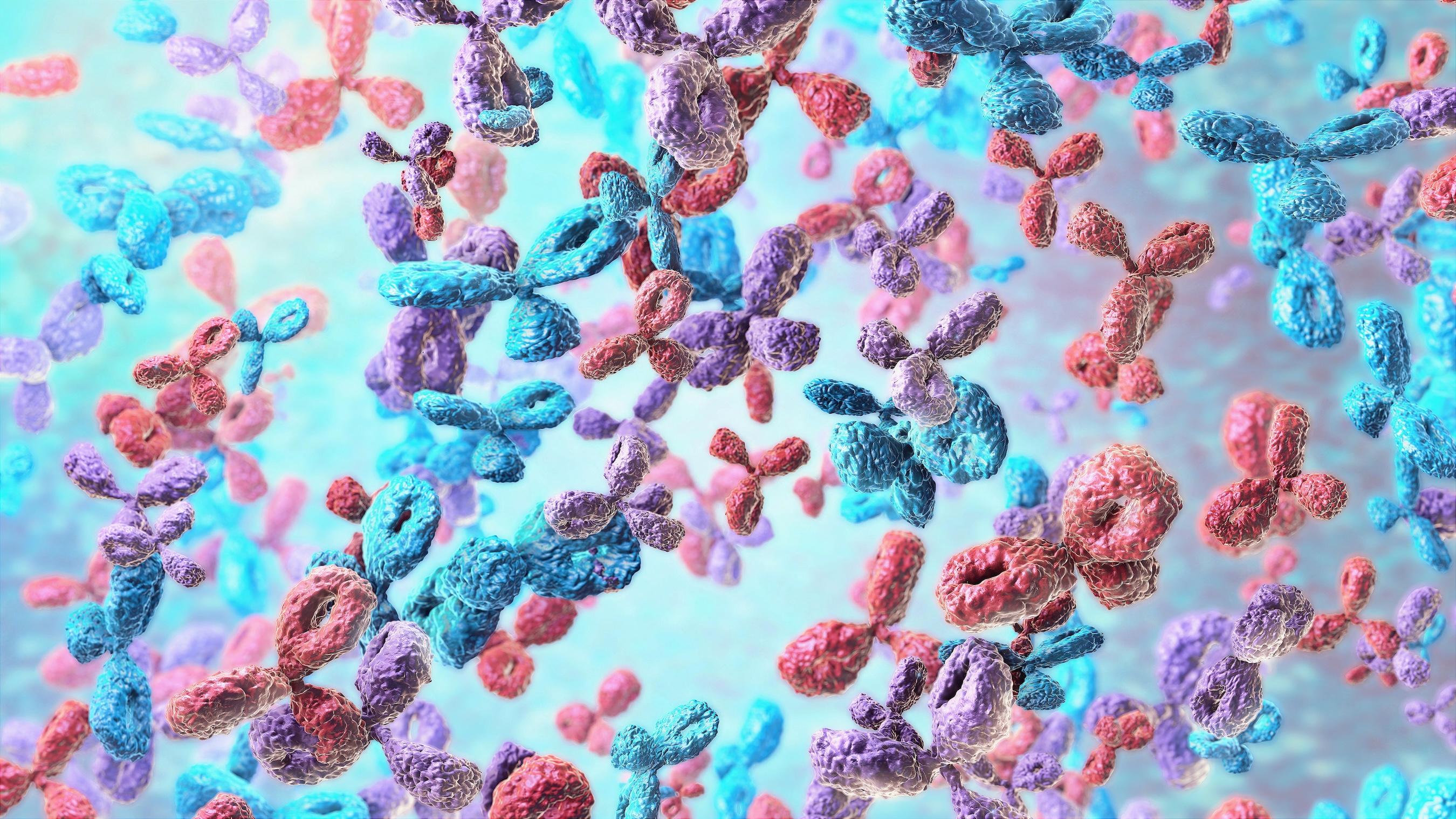 Strategic Biomanufacturing Partner for Multispecific Antibodies