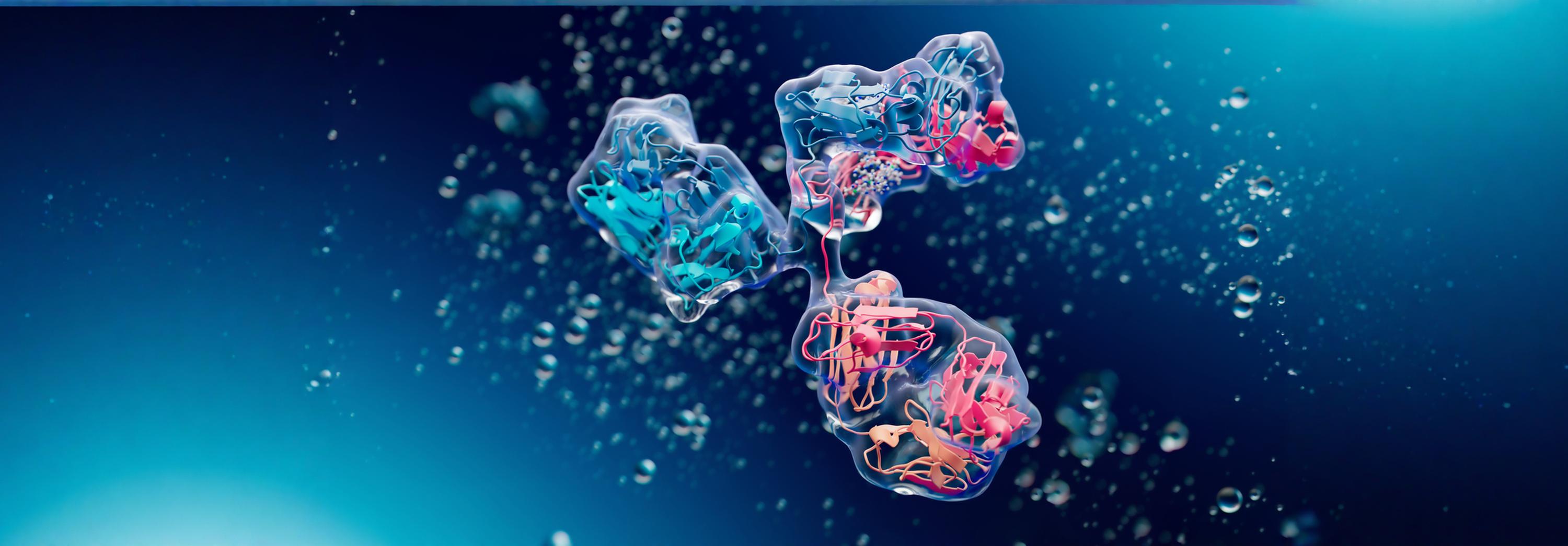 Co-Founders of Biotech Avidicure Talk New Antibody Modality, Starting from Scratch, and $50M Launch