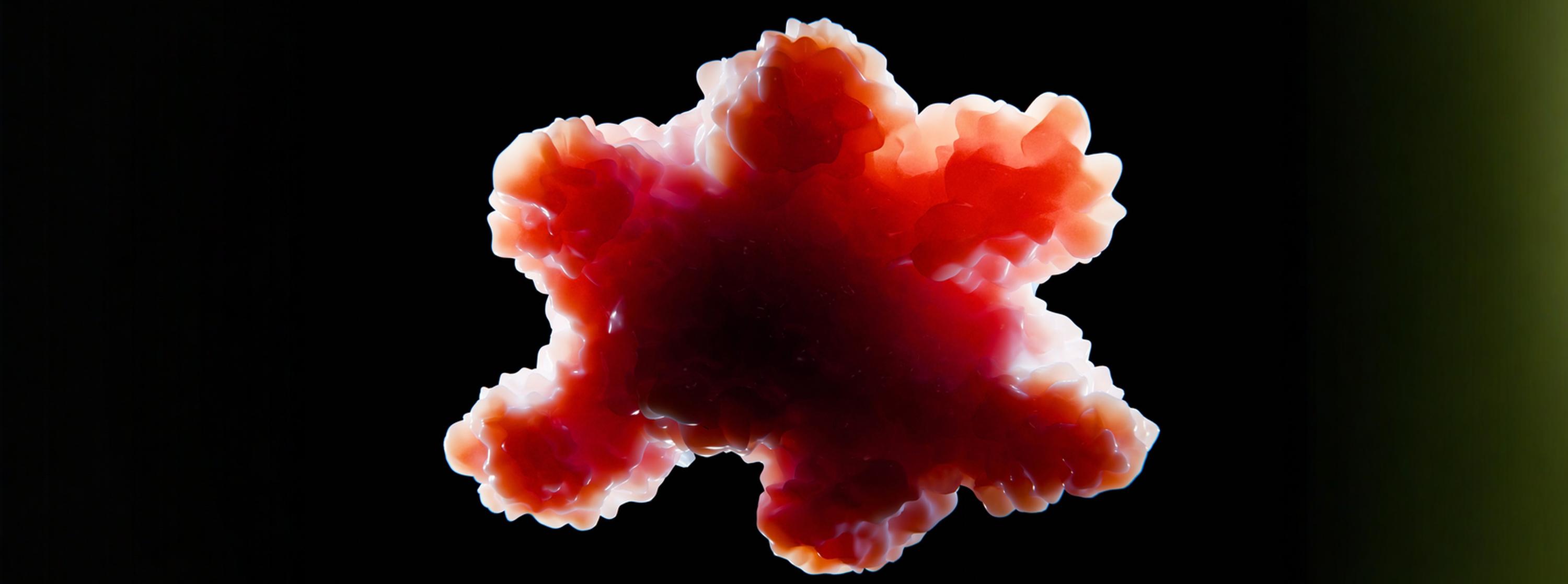 How Organoids Are Continuing to Transform the Path from Bench to Bedside