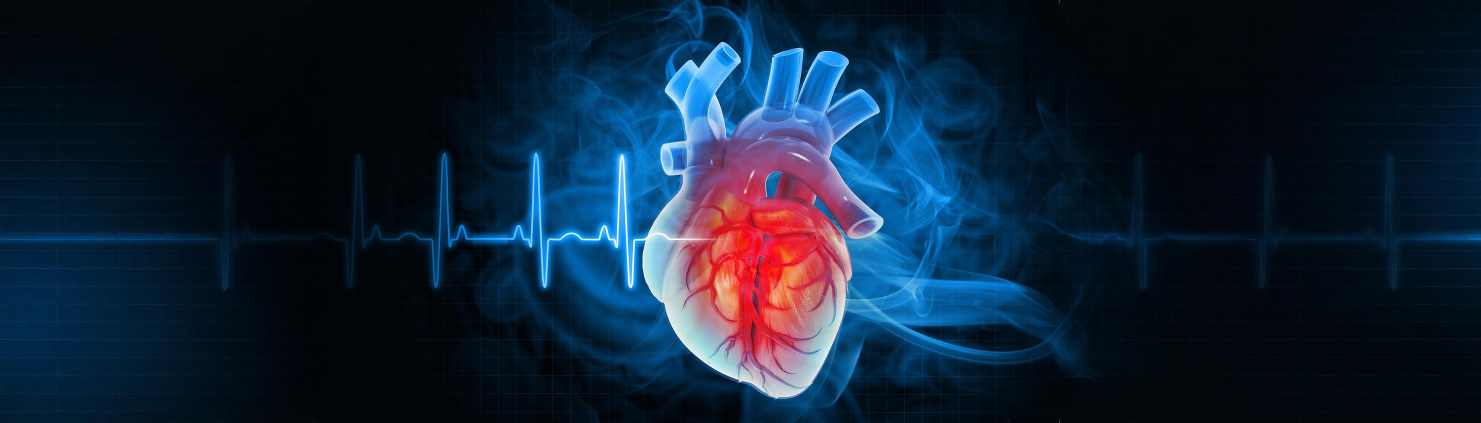 Redefining Cardiovascular Disease Treatment Through Innovation and Prevention