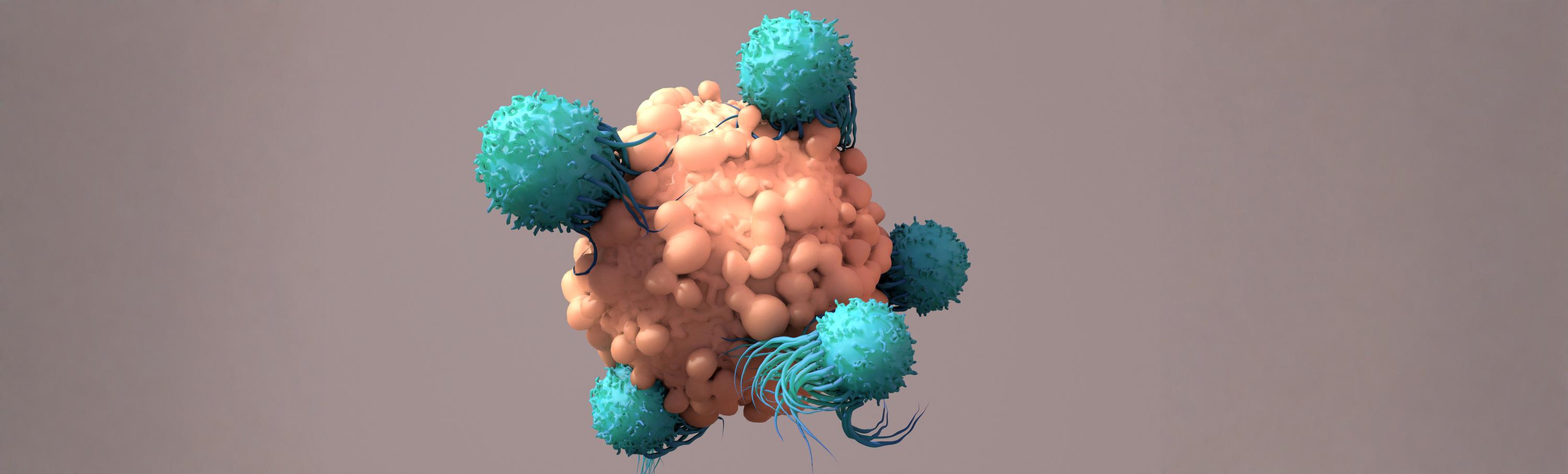Allogeneic CAR Cell Therapies: The Rise of Off-the-Shelf Immunotherapy