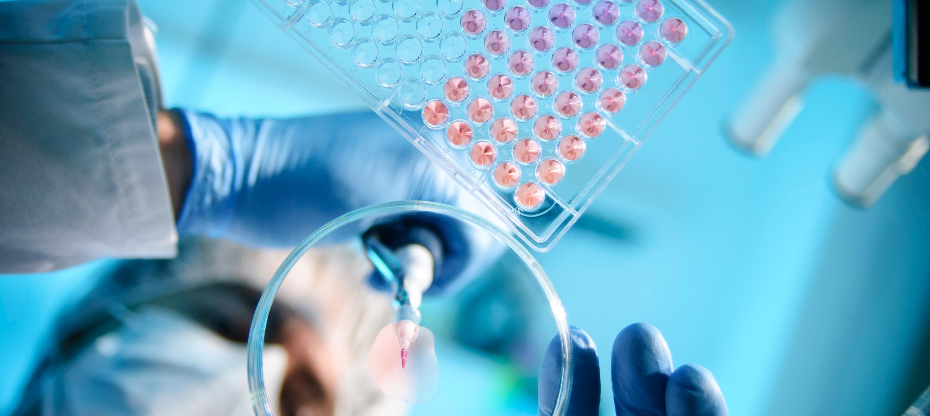 In Vitro vs. In Vivo Potency Assays: Which Approach Is Best for Biopharmaceutical Product Characterization?