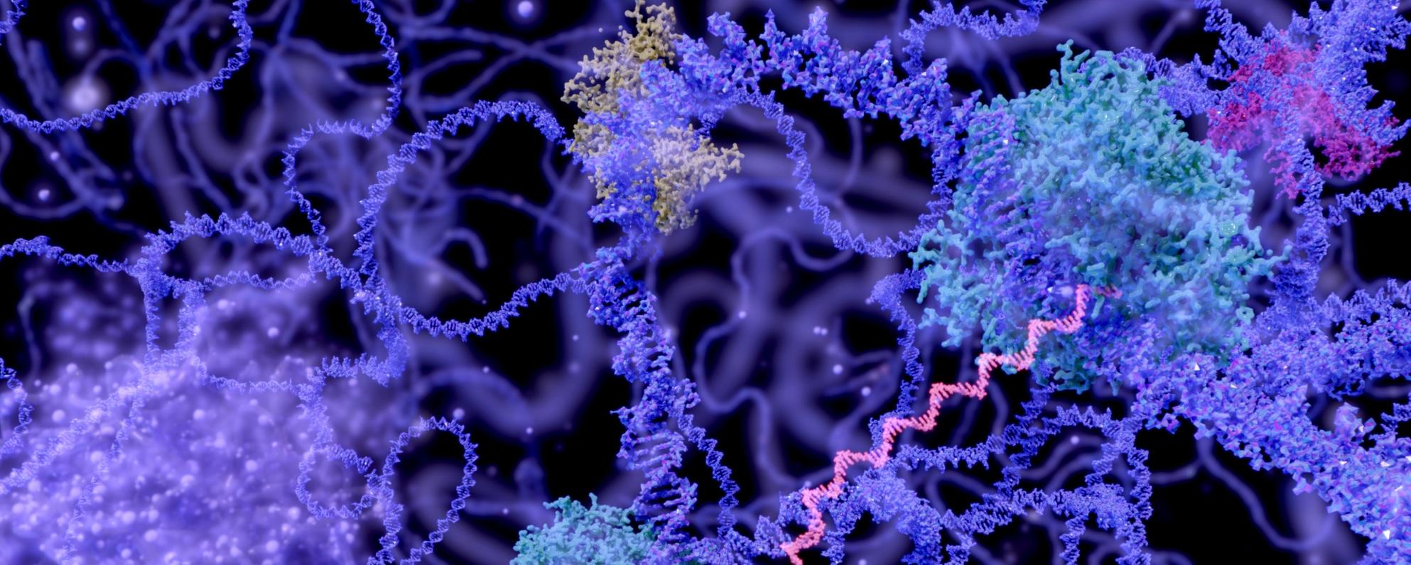 Rewriting Gene Expression Without Rewriting DNA: The Emerging Field of Epigenetic Editing