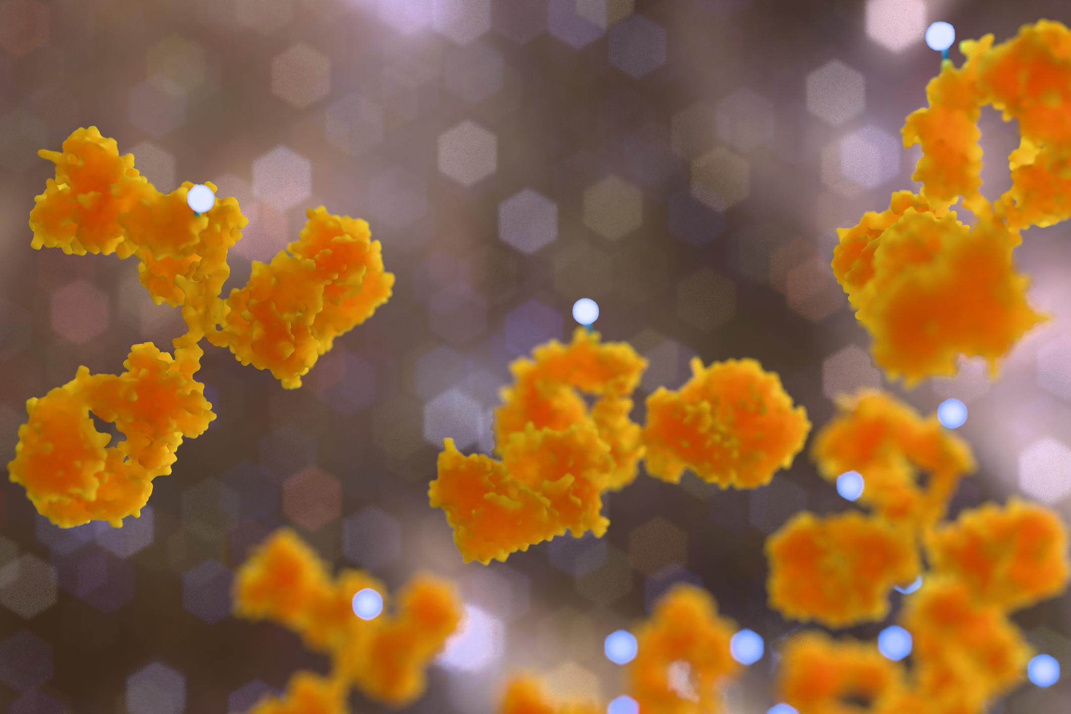 Why ADC Conjugation Strategy Is Now a CMC Decision