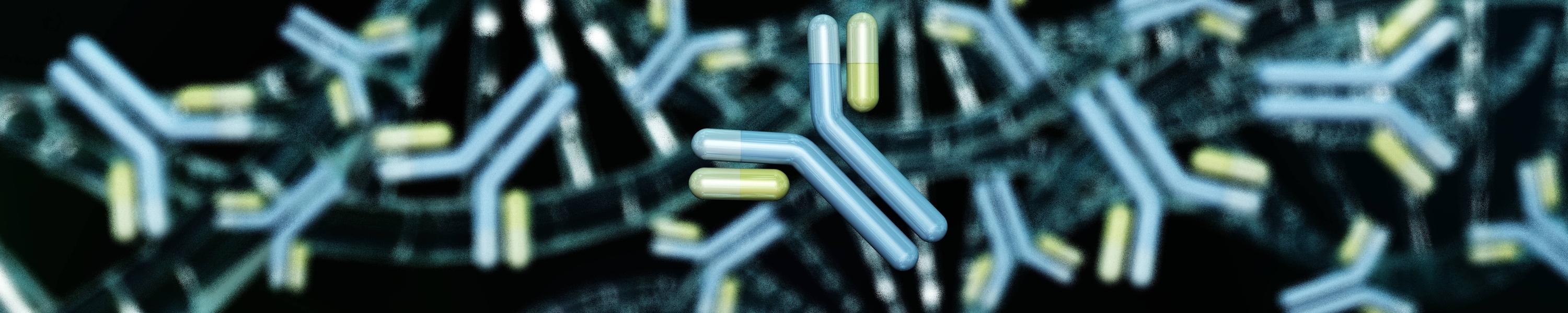 Why Bispecific Antibody Architecture Is a CMC Decision