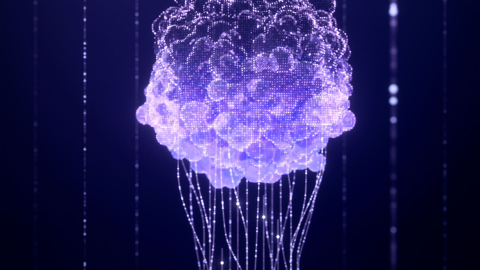 Data-Centric Organoid Services for Predictive Drug Response and Next-Generation Oncology Research