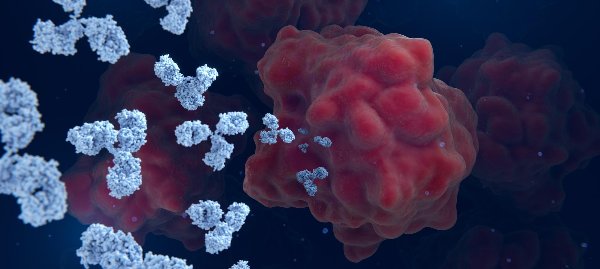 Expanding the Oncology Therapeutic Window Through Masked Antibody Technology