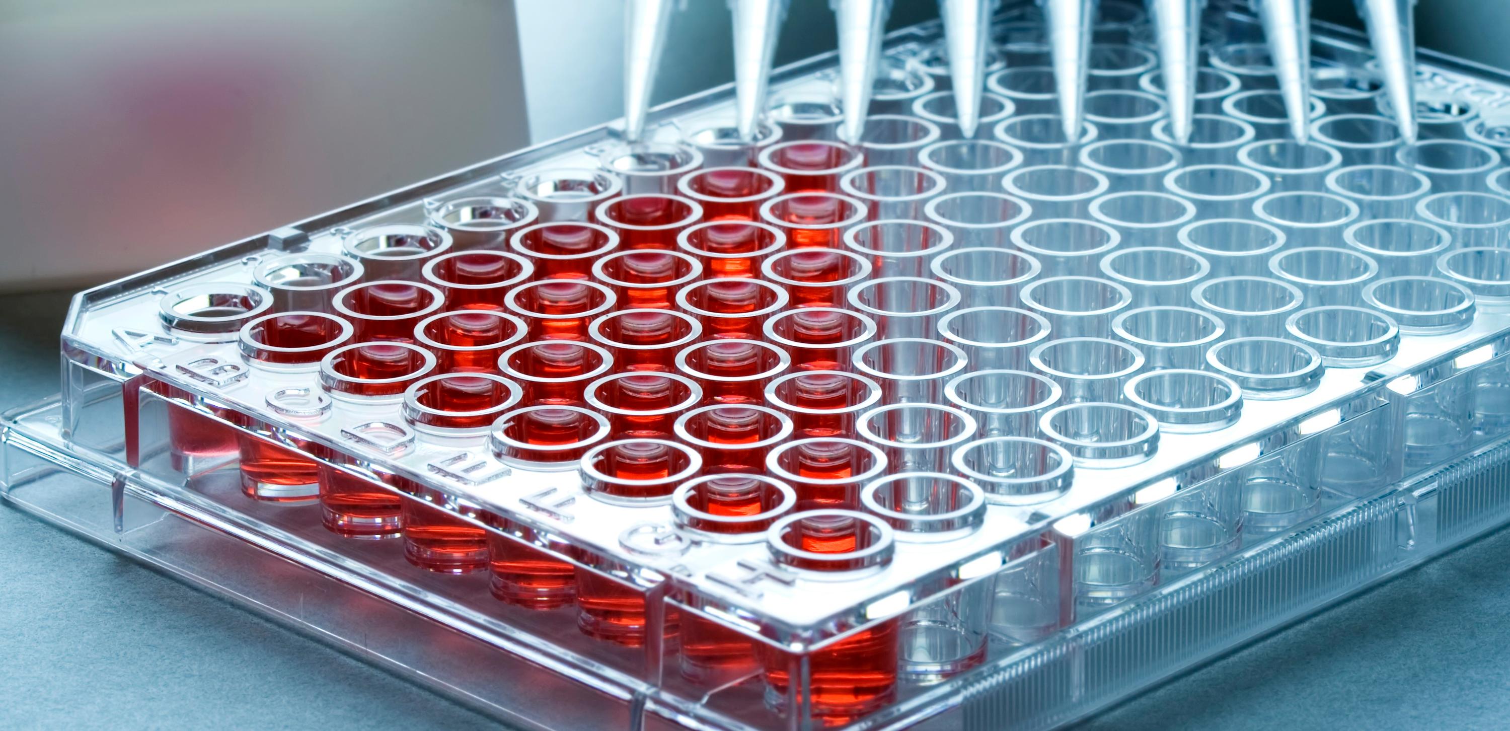 Why Potency Cannot Be Reduced to a Release Assay in Active Immunotherapy Development
