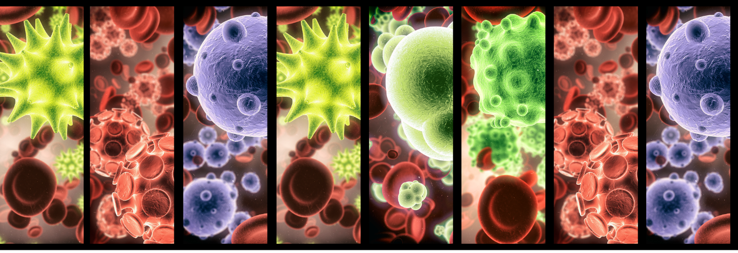 Survey of Cell Therapy Formats
