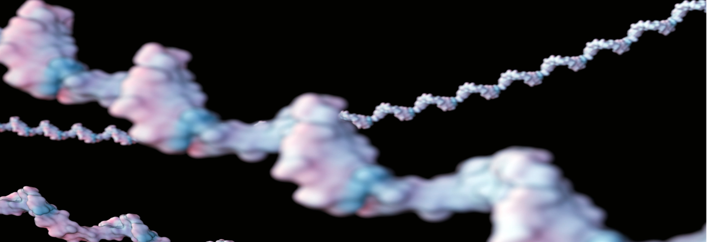 The mRNA Therapeutics Analytical Landscape