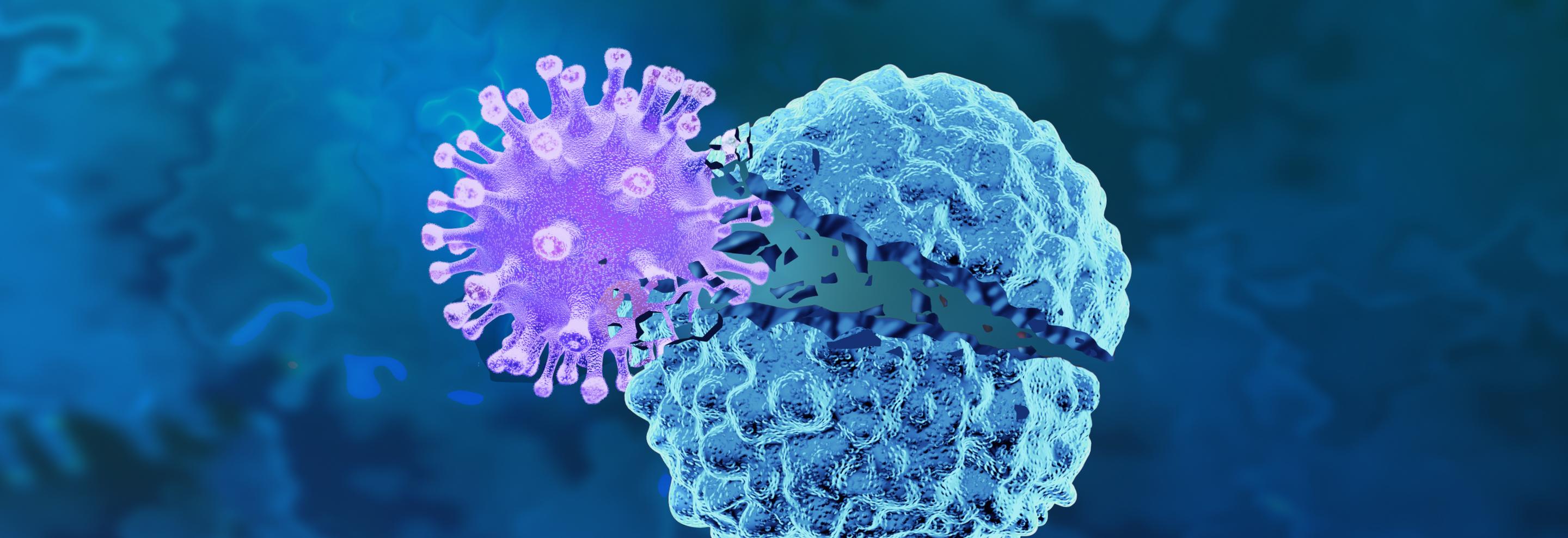 Turning Oncolytic Viruses into Manufacturable Cancer Therapies