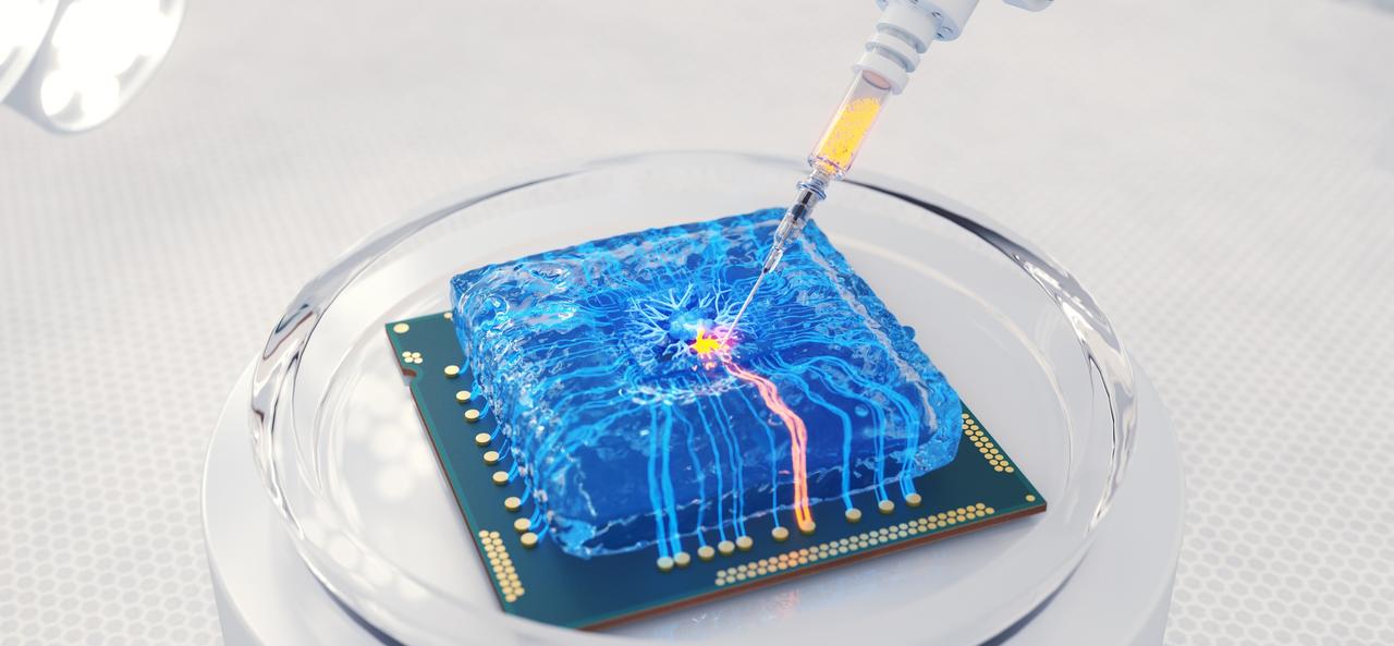Why Multi-Organ Chips Are a Manufacturing and Standardization Challenge