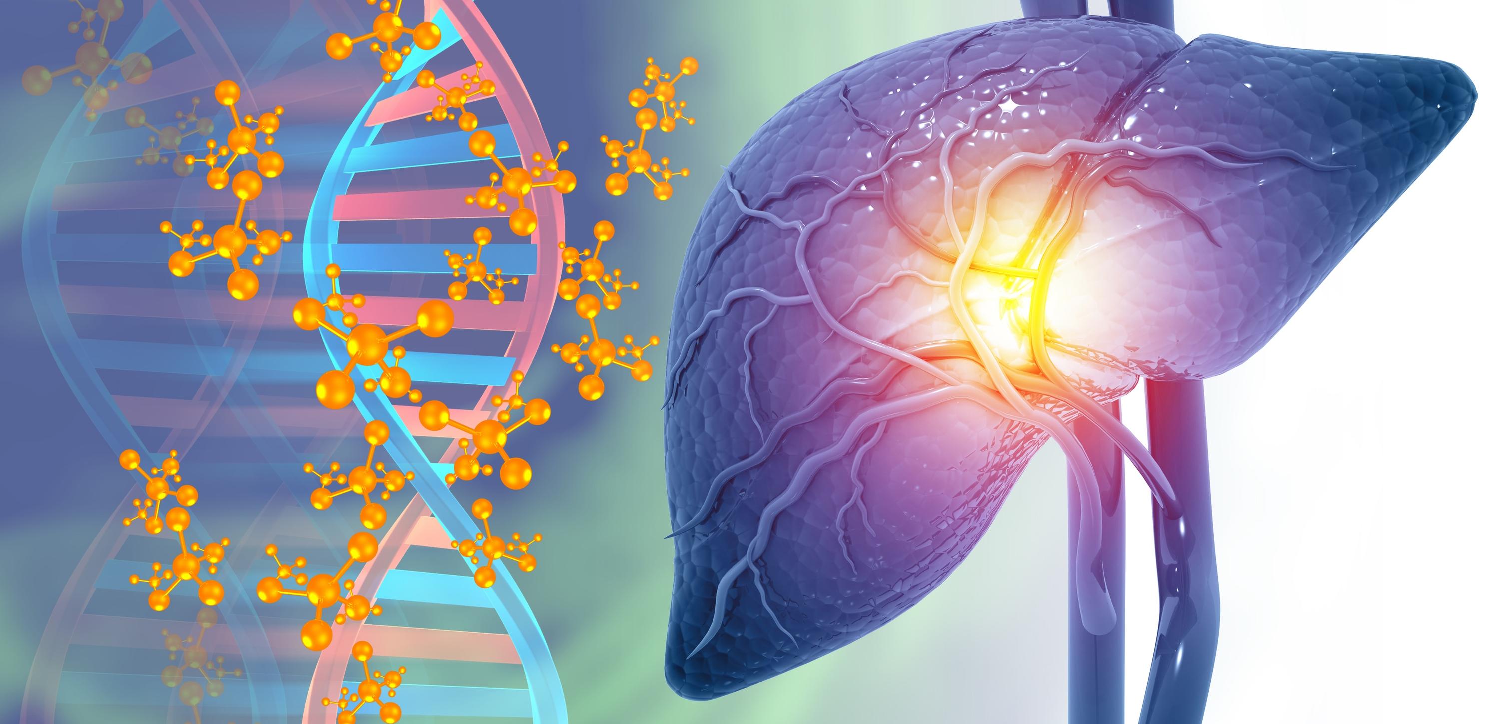 Overcoming Resistance in the New Era of Liver Cancer Immunotherapy