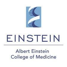 Albert Einstein College of Medicine