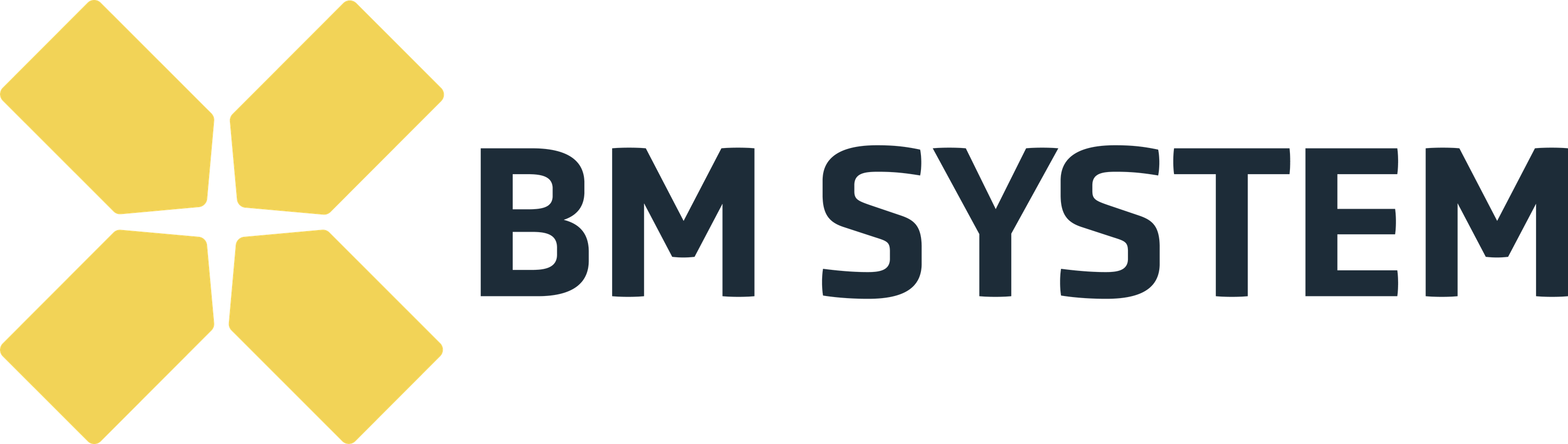 BM Systems
